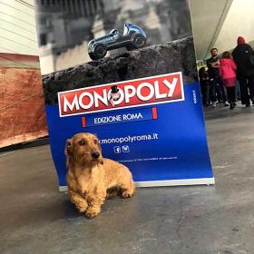 Monopoly classico – con dinosauro e pezzi in più - Collezionismo In vendita  a Roma