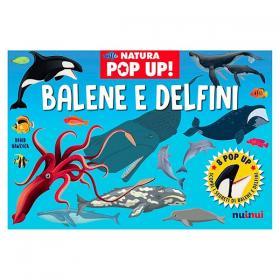 NuiNui Pop Up Balene e Delfini - L'Orso Dado